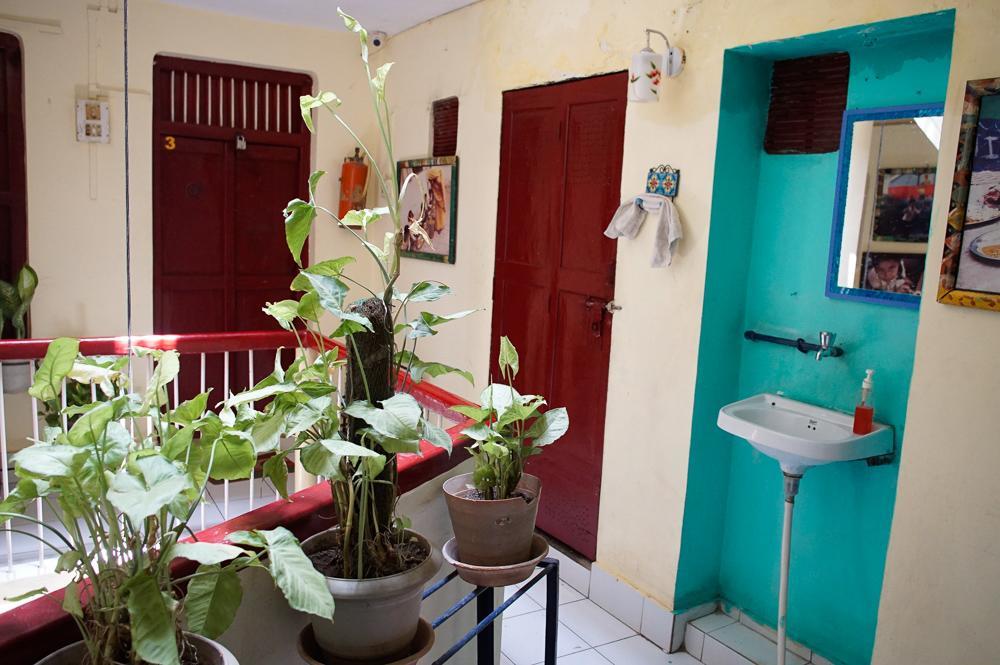 Brown Bread Bakery Guest House فاراناسي المظهر الخارجي الصورة